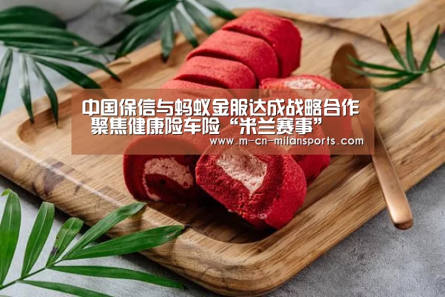 中国保信与蚂蚁金服达成战略合作 聚焦健康险车险“米兰赛事”(图3) 米兰电竞官网