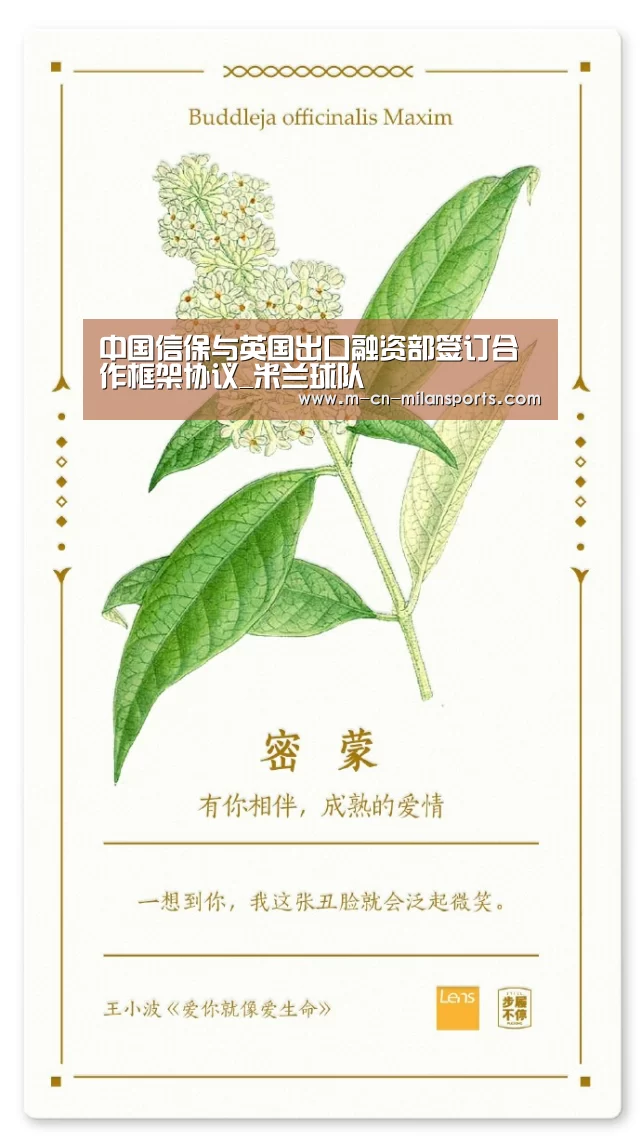中国信保与英国出口融资部签订合作框架协议_米兰球队(图1) 米兰俱乐部