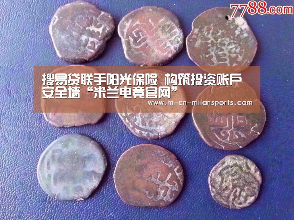 搜易贷联手阳光保险 构筑投资账户安全墙“米兰电竞官网”(图1) 米兰电竞官网