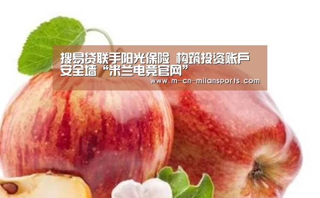 搜易贷联手阳光保险 构筑投资账户安全墙“米兰电竞官网”(图4) 米兰俱乐部